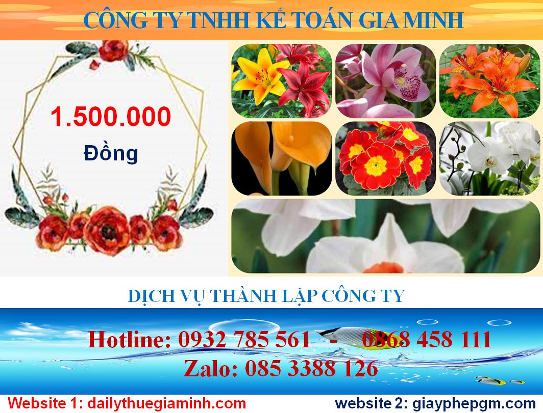 Chi phí thành lập công ty tại Huyện Bắc Tân Uyên