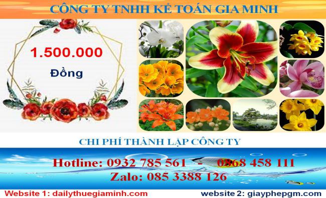 Mở công ty trọn gói tại Huyện Bắc Tân Uyên 5 Chi phí mở công ty trọn gói tại Huyện Bắc Tân Uyên