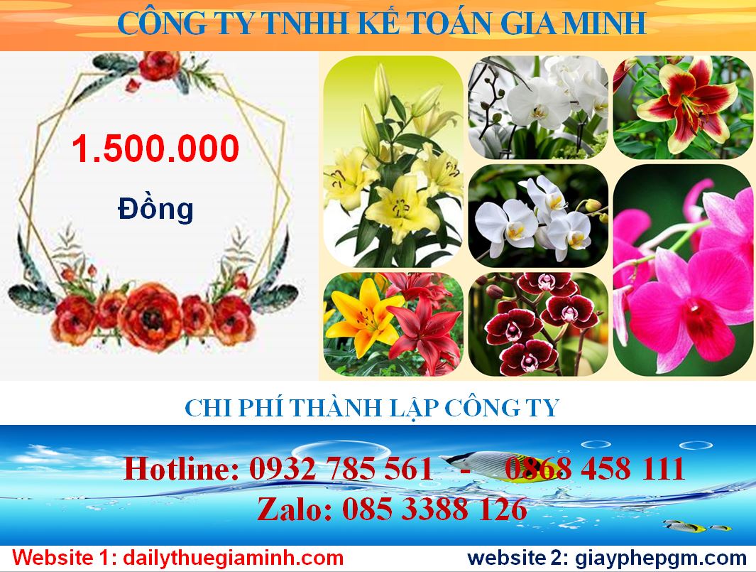 Chi phí thành lập công ty tại huyện Bàu Bàng 5 Chi phí thành lập công ty tại huyện Bàu Bàng
