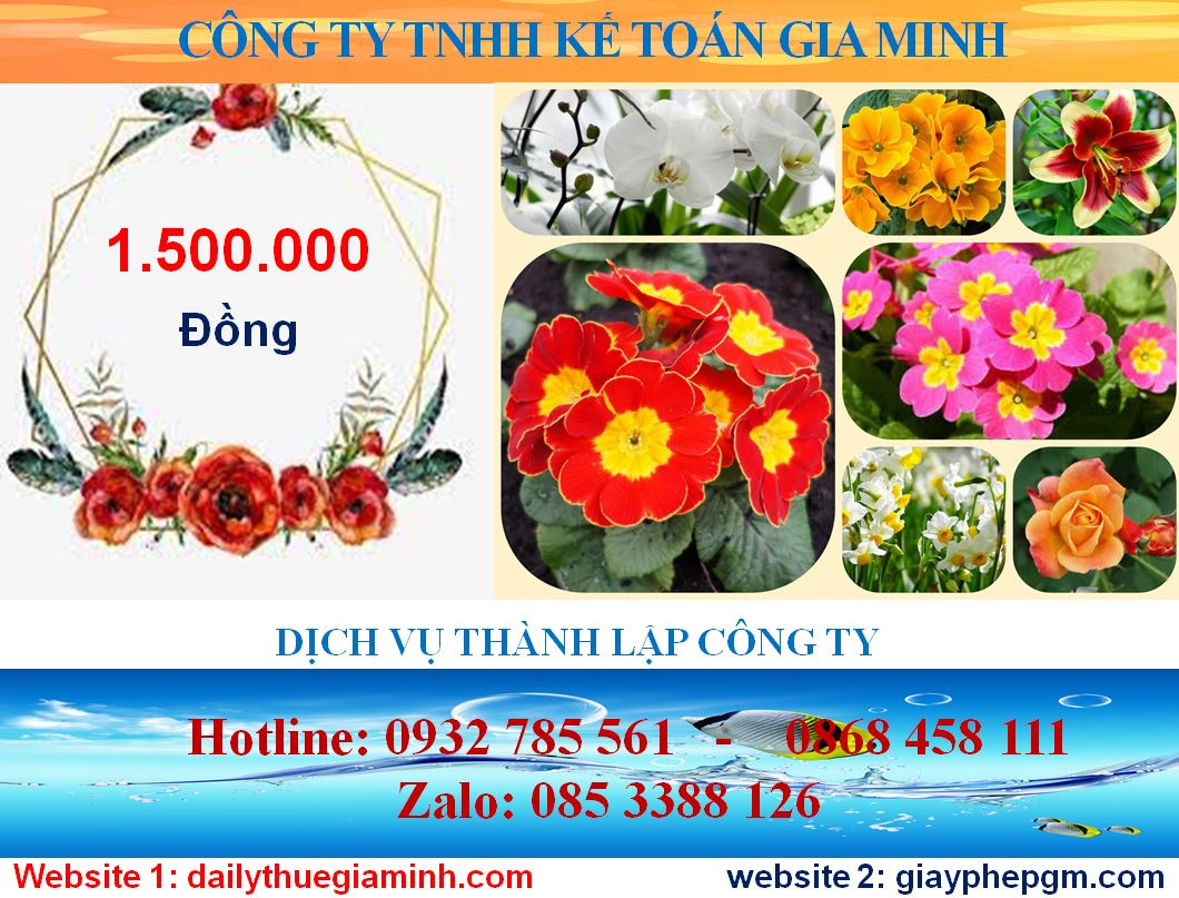 Chi phí thành lập công ty ở Huyện Bàu Bàng