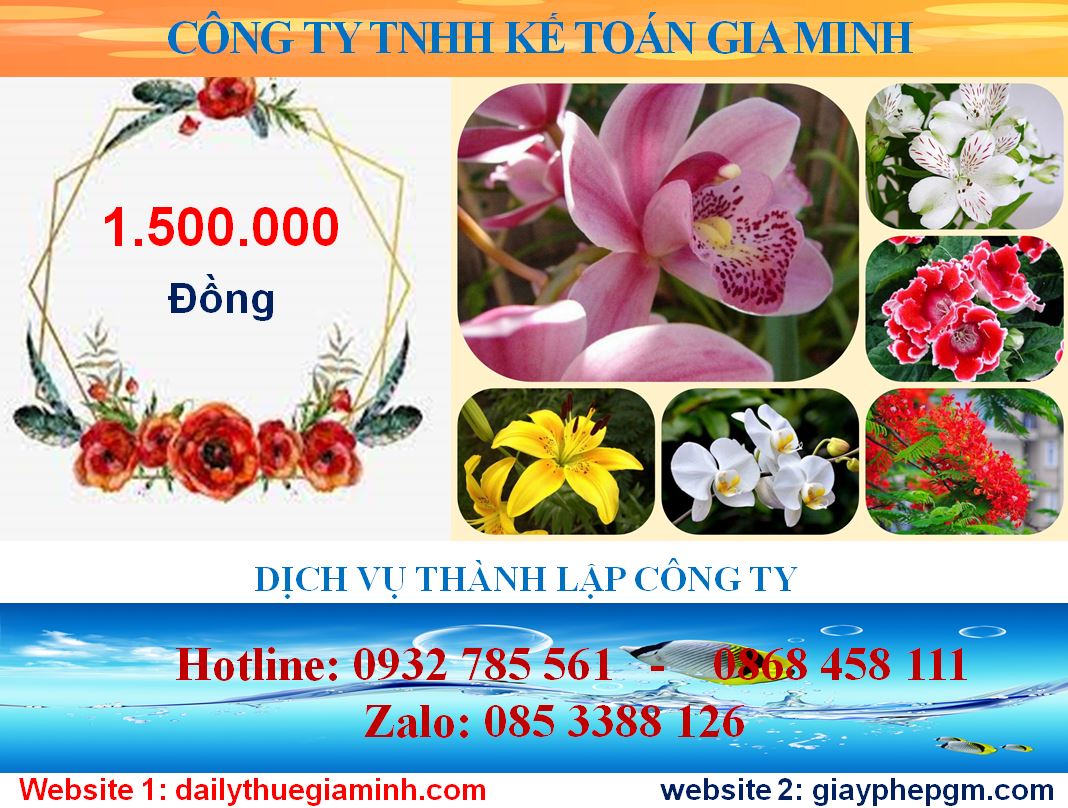 Chi phí thành lập công ty tại Huyện Bình Chánh