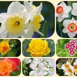 Chi phí thành lập công ty tại huyện Cần Giờ 6 Thành lập công ty tại huyện Cần Giờ