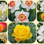 Chi phí thành lập công ty tại huyện Củ Chi 6 Thành lập công ty tại huyện Củ Chi