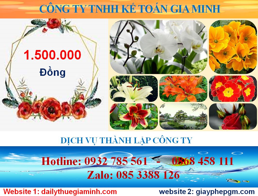 Chi phí thành lập công ty tại Huyện Dầu Tiếng