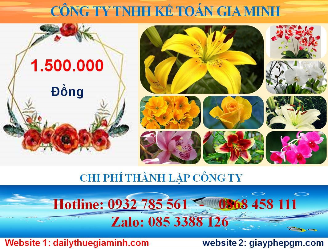 Mở công ty trọn gói tại Huyện Gia Lâm 5 Chi phí mở công ty trọn gói tại Huyện Gia Lâm