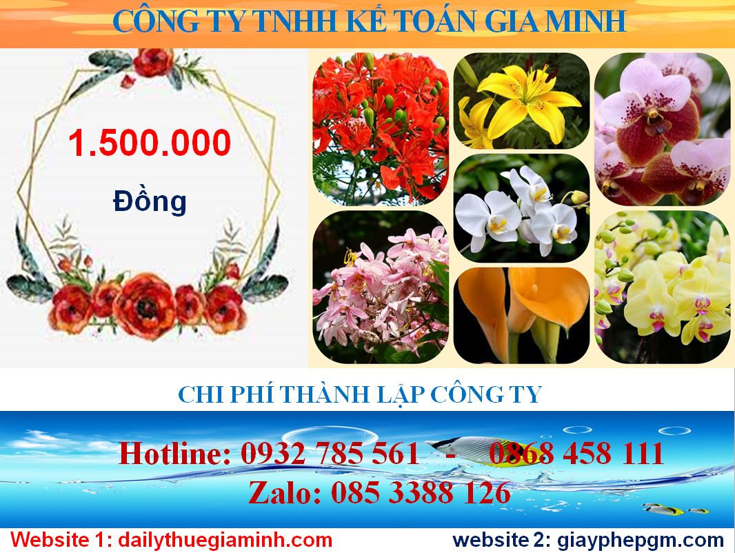 Chi phí thành lập công ty tại Lào Cai 5 Chi phí thành lập công ty uy tín trọn gói tại lào cai