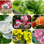 Chi phí thành lập công ty tại Quận 1 6 Thành lập công ty tại Quận 1