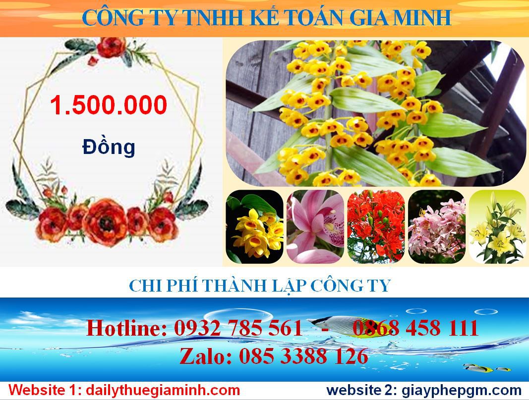 Mở công ty trọn gói tại Quận 11 5 Chi phí mở công ty trọn gói tại Quận 11