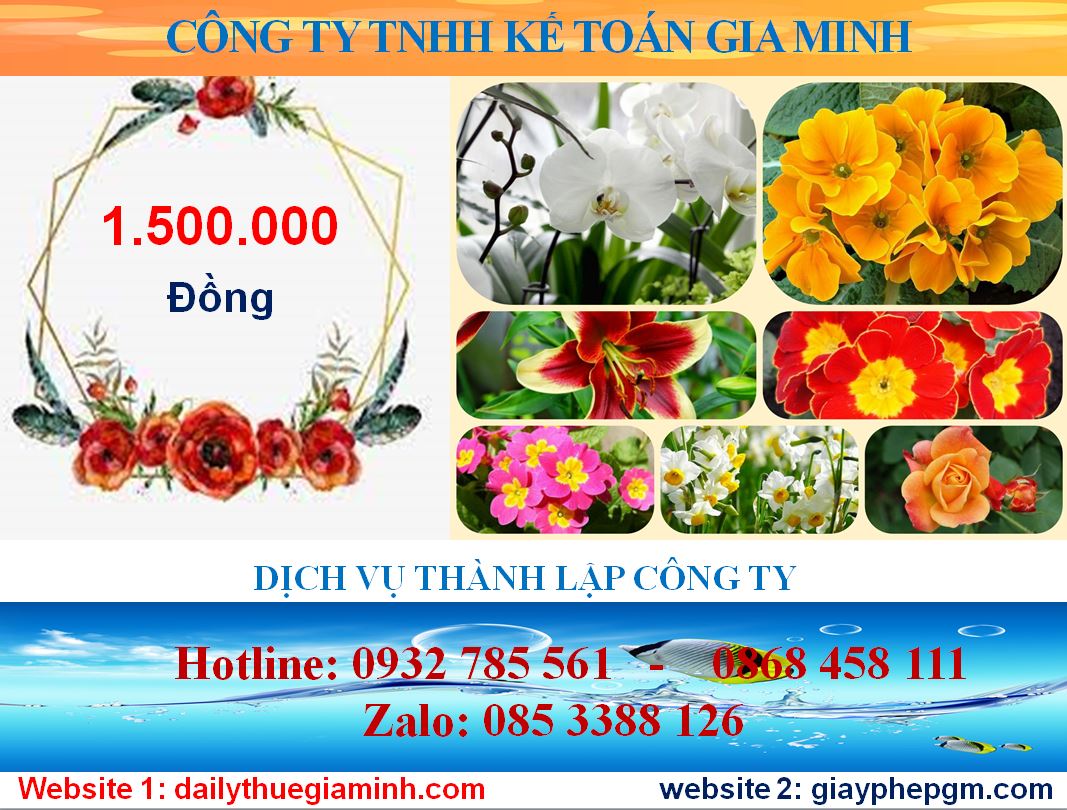 Thành lập công ty tại Quận Bình Thủy – Hướng dẫn A-Z nhanh, đúng luật, tiết kiệm chi phí 7 Chi phí thành lập công ty tại Quận Bình Thuỷ
