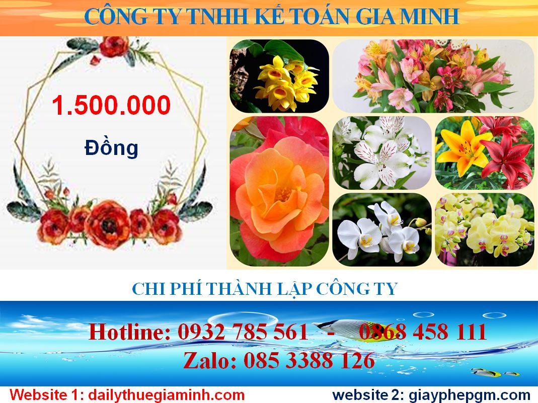 Chi phí thành lập công ty tại Quảng Ninh 5 Chi phí thành lập công ty tại Quảng Ninh