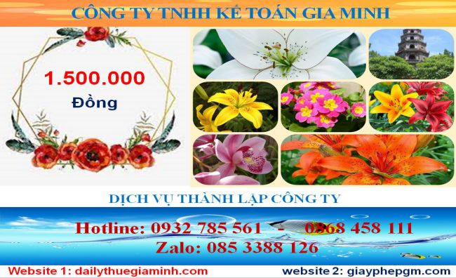 Chi phí thành lập công ty tahi Thị xã Dĩ An