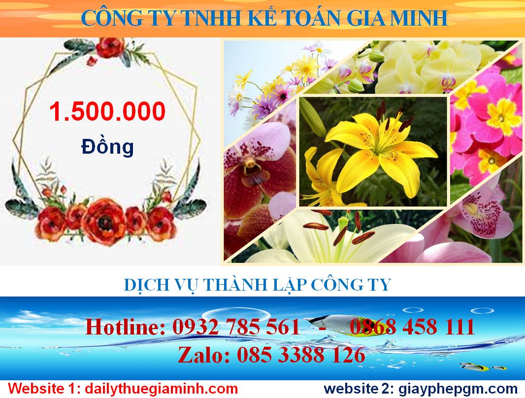 Chi phí thành lập công ty tại Thị xã Sơn Tây