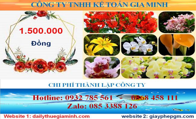Chi phí thành lập công ty tại Thừa Thiên Huế 5 Chi phí thành lập công ty tại Thừa Thiên Huế