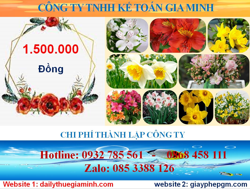 Chi phí thành lập công ty tại Vũng Tàu 5 Chi phí thành lập công ty tại Vũng Tàu