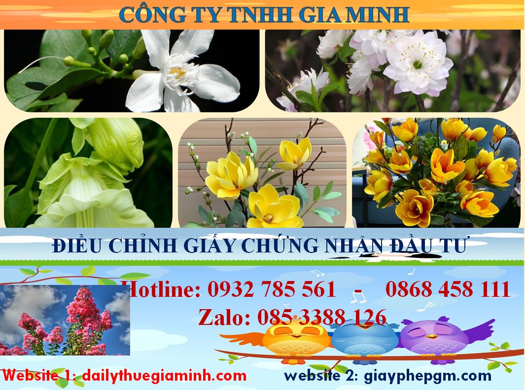 Dịch vụ điều chỉnh giấy chứng nhận đầu tư tại An Giang 4 Thủ tục điều chỉnh giấy chứng nhận đầu tư tại An Giang