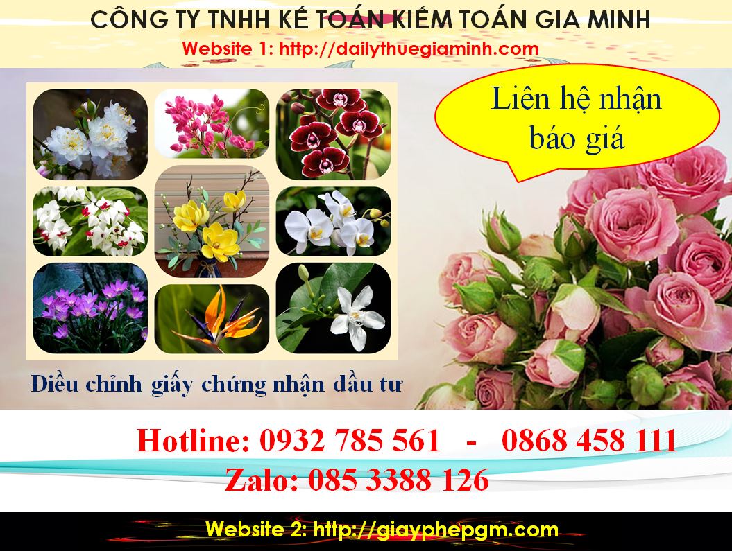 Dịch vụ điều chỉnh giấy chứng nhận đầu tư tại Bắc Giang 5 Chi phí điều chỉnh giấy chứng nhận đầu tư tại Bắc Giang