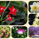 Dịch vụ điều chỉnh giấy chứng nhận đầu tư tại Bắc Kạn 6 Muốn điều chỉnh giấy chứng nhận đầu tư tại Bắc Kạn