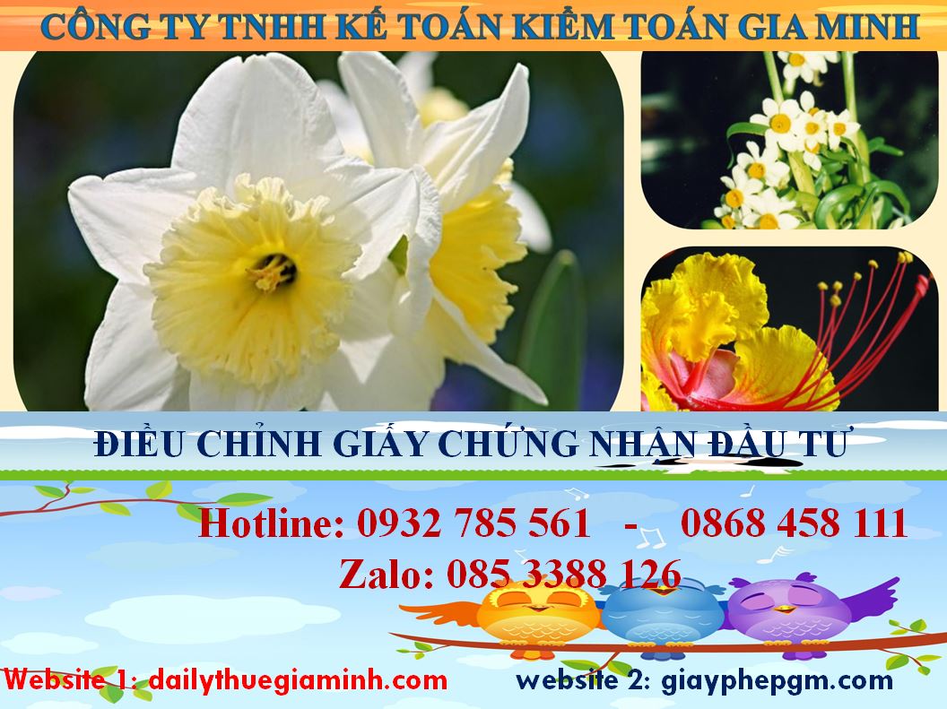 Dịch vụ điều chỉnh giấy chứng nhận đầu tư tại Bắc Kạn 4 Thủ tục điều chỉnh giấy chứng nhận đầu tư tại Bắc Kạn