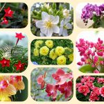 Dịch vụ điều chỉnh giấy chứng nhận đầu tư tại Cần Thơ 6 Muốn điều chỉnh giấy chứng nhận đầu tư tại Cần Thơ