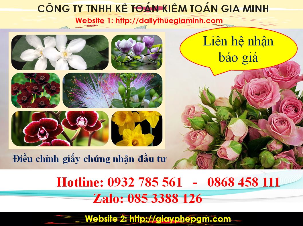 Dịch vụ điều chỉnh giấy chứng nhận đầu tư tại Cần Thơ 5 Chi phí điều chỉnh giấy chứng nhận đầu tư tại Cần Thơ
