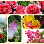Dịch vụ điều chỉnh giấy chứng nhận đầu tư tại Điện Biên 6 Muốn điều chỉnh giấy chứng nhận đầu tư tại Đắk Nông