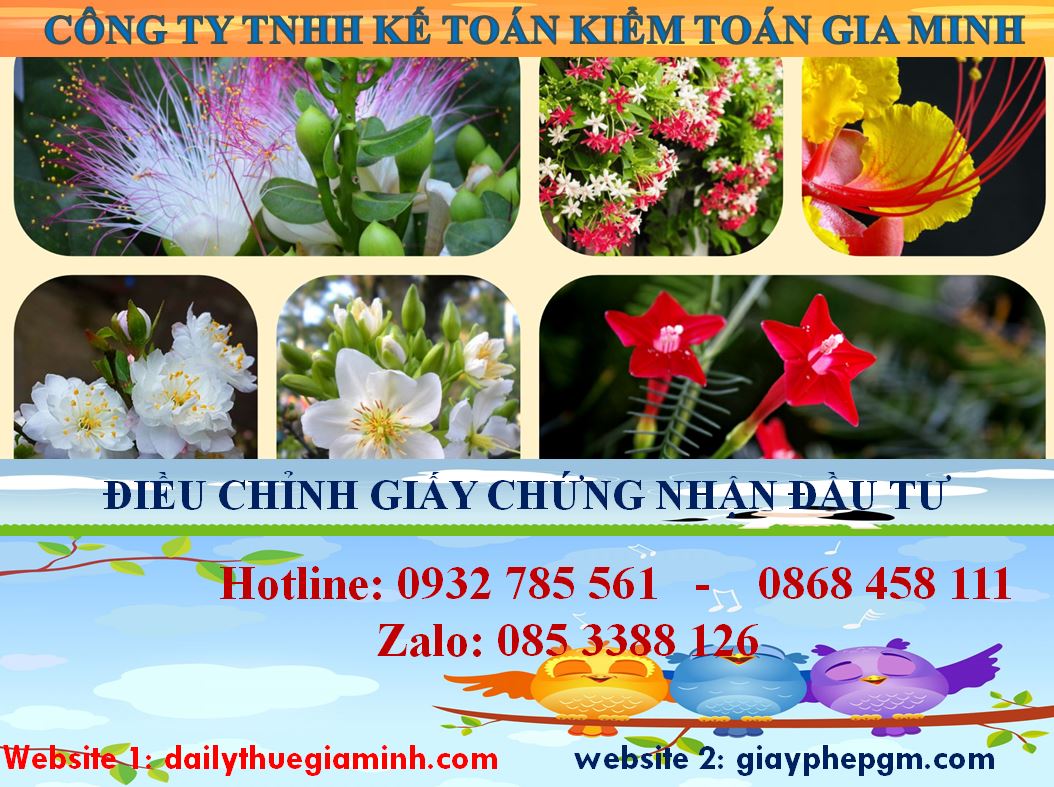 Dịch vụ điều chỉnh giấy chứng nhận đầu tư tại Điện Biên 4 Thủ tục điều chỉnh giấy chứng nhận đầu tư tại Điện Biên
