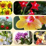 Dịch vụ điều chỉnh giấy chứng nhận đầu tư tại Hà Nam 6 Muốn điều chỉnh giấy chứng nhận đầu tư tại Hà Nam