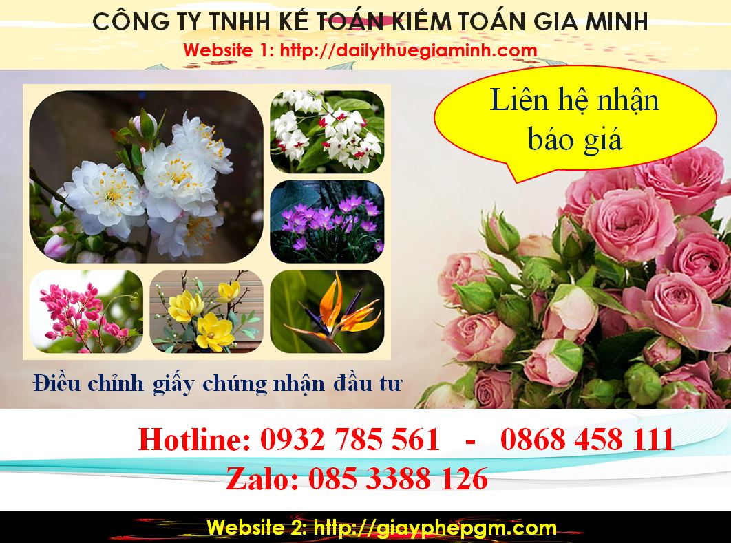 Dịch vụ điều chỉnh giấy chứng nhận đầu tư tại Hà Nam 5 Chi phí điều chỉnh giấy chứng nhận đầu tư tại Hà Nam