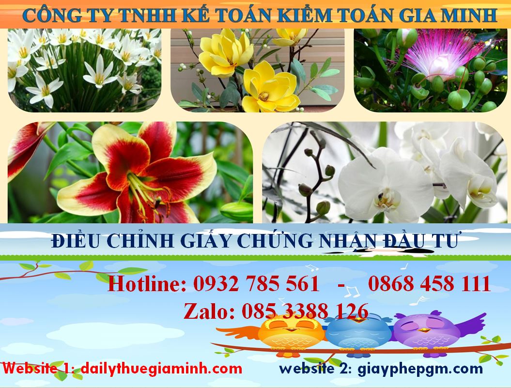Dịch vụ điều chỉnh giấy chứng nhận đầu tư tại Hà Nam 4 Thủ tục điều chỉnh giấy chứng nhận đầu tư tại Hà Nam
