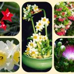 Dịch vụ điều chỉnh giấy chứng nhận đầu tư tại Hà Nội 6 Muốn điều chỉnh giấy chứng nhận đầu tư tại Hà Nội