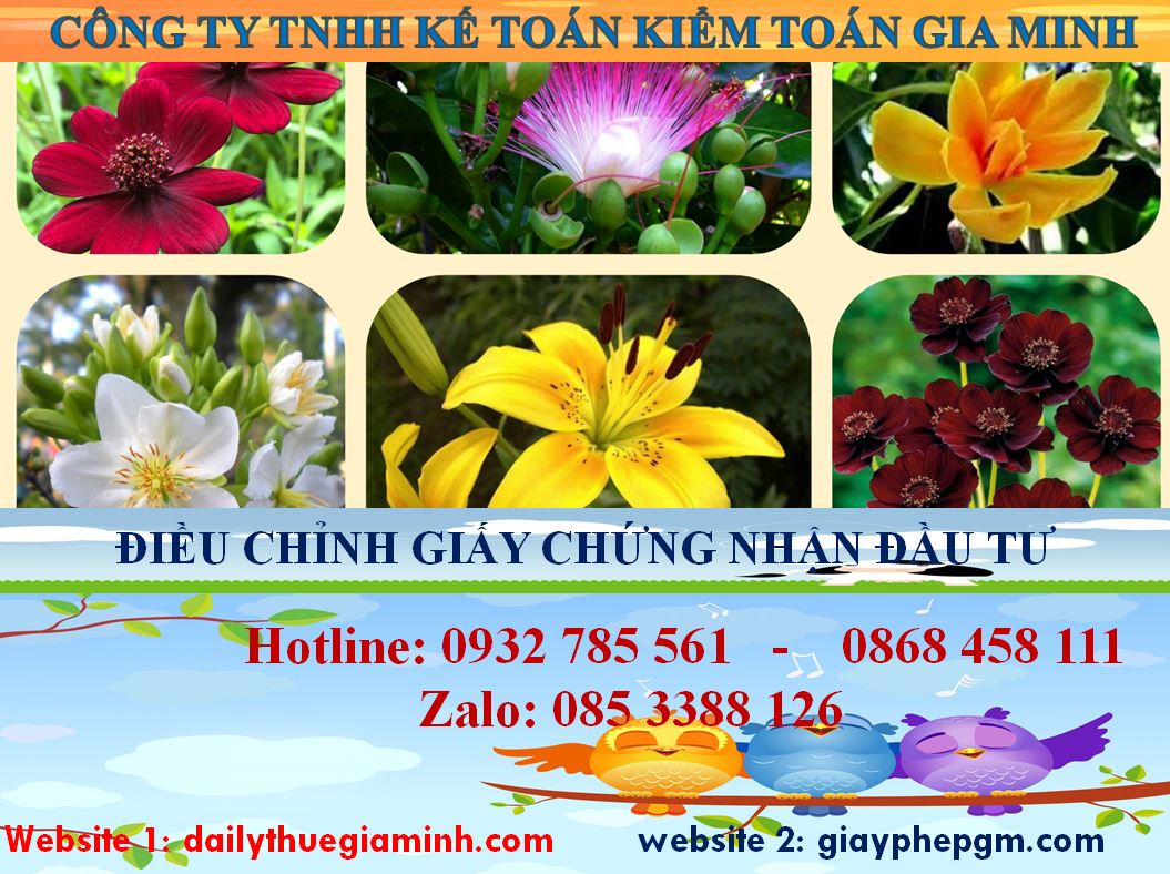 Dịch vụ điều chỉnh giấy chứng nhận đầu tư tại Hà Nội 4 Thủ tục điều chỉnh giấy chứng nhận đầu tư tại Hà Nội
