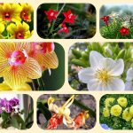 Dịch vụ điều chỉnh giấy chứng nhận đầu tư tại Hải Dương 6 Muốn điều chỉnh giấy chứng nhận đầu tư tại Hải Dương