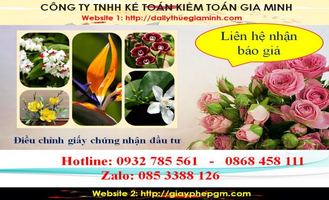 Dịch vụ điều chỉnh giấy chứng nhận đầu tư tại Hải Dương 5 Chi phí điều chỉnh giấy chứng nhận đầu tư tại Hải Dương