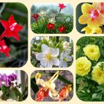 Dịch vụ điều chỉnh giấy chứng nhận đầu tư tại Hải Phòng 6 Muốn điều chỉnh giấy chứng nhận đầu tư tại Hải Phòng