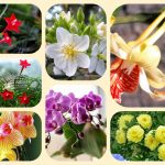 Muốn điều chỉnh giấy chứng nhận đầu tư tại Hòa Bình
