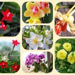 Dịch vụ điều chỉnh giấy chứng nhận đầu tư tại Hưng Yên 6 Muốn điều chỉnh giấy chứng nhận đầu tư tại Hưng Yên