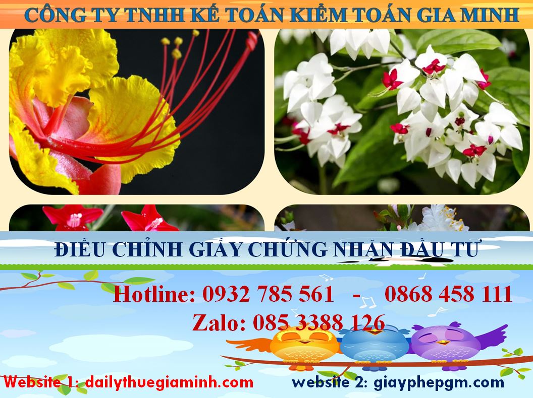 Dịch vụ điều chỉnh giấy chứng nhận đầu tư tại Hưng Yên 4 Thủ tục điều chỉnh giấy chứng nhận đầu tư tại Hưng Yên
