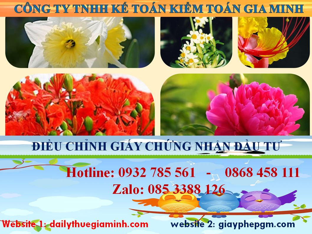Dịch vụ điều chỉnh giấy chứng nhận đầu tư tại Huyện Cờ Đỏ 4 Thủ tục điều chỉnh giấy chứng nhận đầu tư tại Huyện Cờ Đỏ
