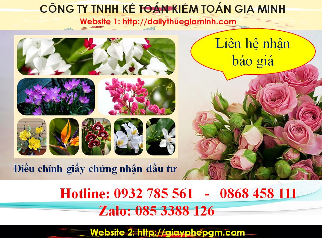 Dịch vụ điều chỉnh giấy chứng nhận đầu tư tại Huyện Củ Chi 5 Chi phí điều chỉnh giấy chứng nhận đầu tư tại Huyện Củ Chi