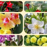 Dịch vụ điều chỉnh giấy chứng nhận đầu tư tại Khánh Hòa 6 Muốn điều chỉnh giấy chứng nhận đầu tư tại Khánh Hòa