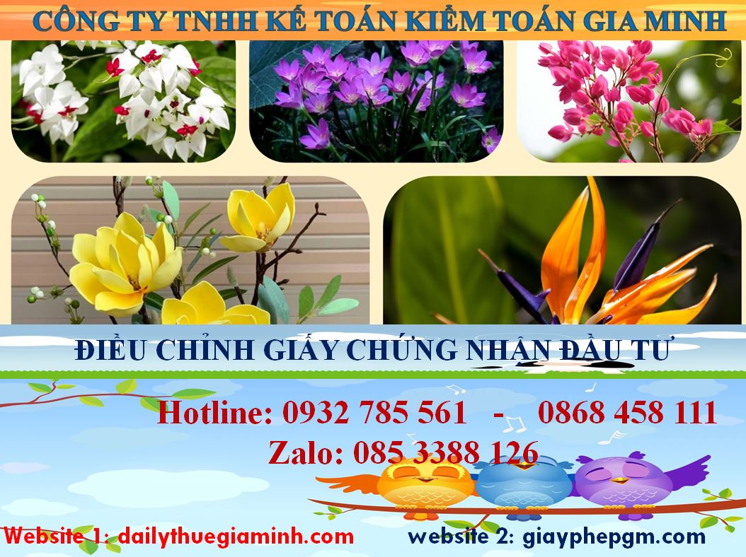 Dịch vụ điều chỉnh giấy chứng nhận đầu tư tại Kiên Giang 4 Chi phí điều chỉnh giấy chứng nhận đầu tư tại Kiên Giang