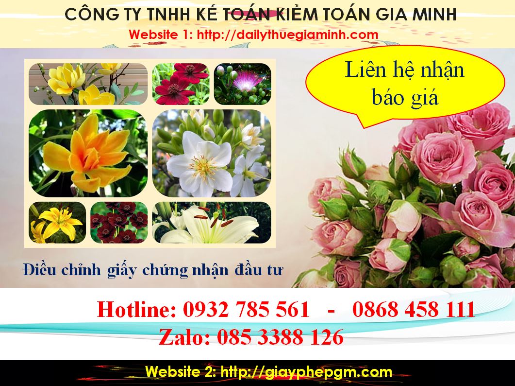 Dịch vụ điều chỉnh giấy chứng nhận đầu tư tại Kiên Giang 5 Chi phí điều chỉnh giấy chứng nhận đầu tư tại Kiên Giang