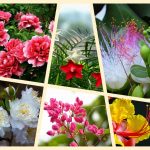 Dịch vụ điều chỉnh giấy chứng nhận đầu tư tại Lai Châu 6 Muốn điều chỉnh giấy chứng nhận đầu tư tại Lai Châu