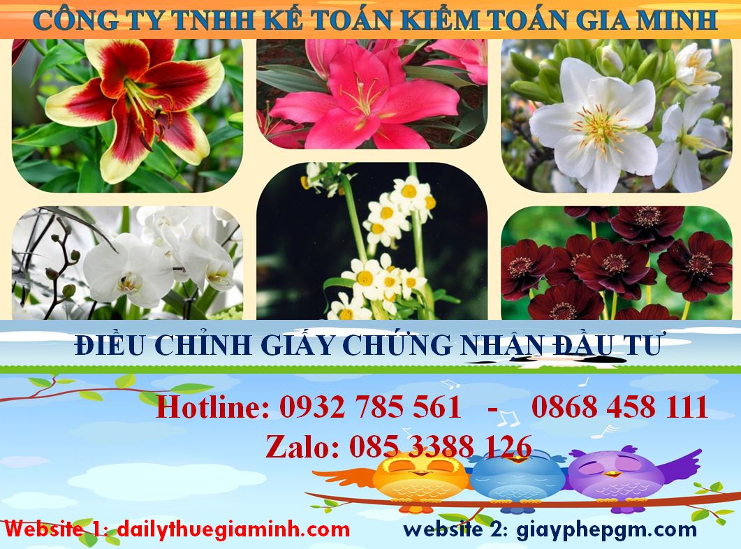 Dịch vụ điều chỉnh giấy chứng nhận đầu tư tại Lạng Sơn 4 Thủ tục điều chỉnh giấy chứng nhận đầu tư tại Lạng Sơn