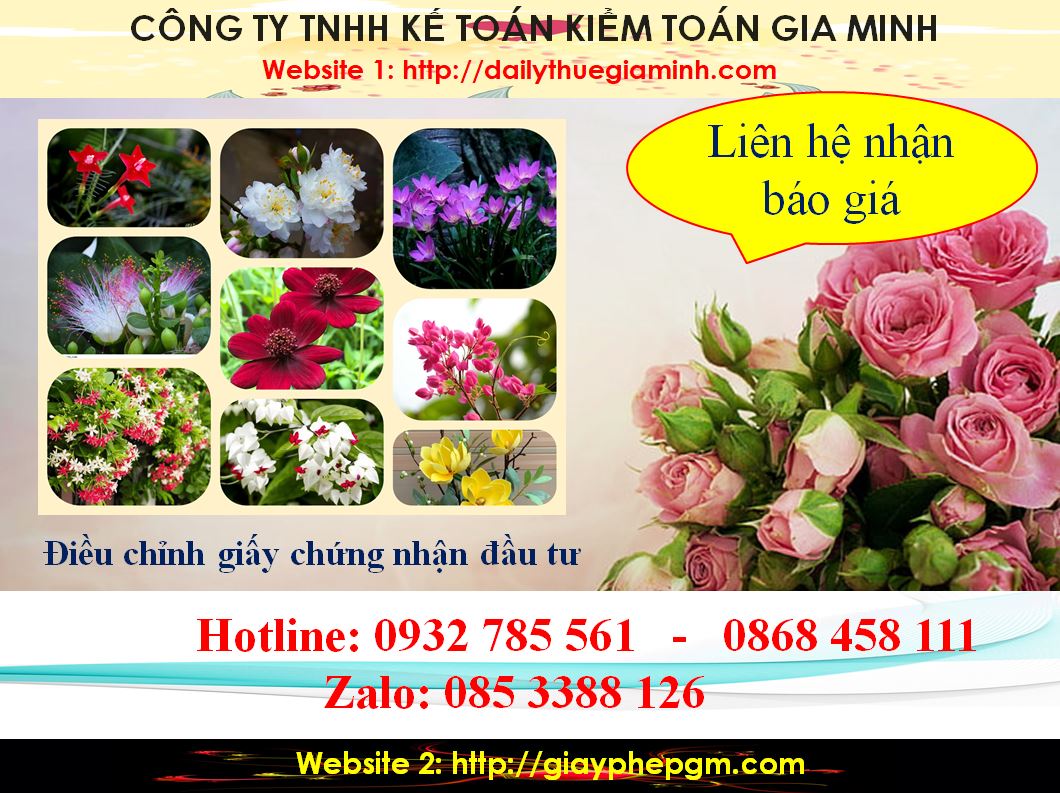 Dịch vụ điều chỉnh giấy chứng nhận đầu tư tại Lạng Sơn 5 Chi phí điều chỉnh giấy chứng nhận đầu tư tại Lạng Sơn