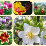 Dịch vụ điều chỉnh giấy chứng nhận đầu tư tại Lào Cai 6 Muốn điều chỉnh giấy chứng nhận đầu tư tại Lào Cai