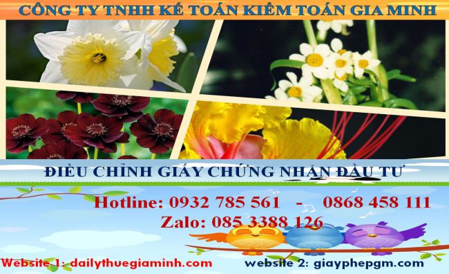 Dịch vụ điều chỉnh giấy chứng nhận đầu tư tại Lào Cai 4 Thủ tục điều chỉnh giấy chứng nhận đầu tư tại Lào Cai