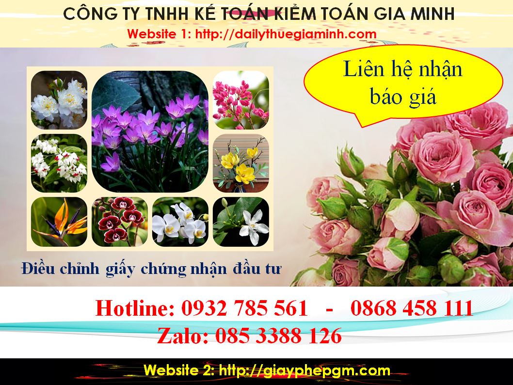 Dịch vụ điều chỉnh giấy chứng nhận đầu tư tại Lào Cai 5 Chi phí điều chỉnh giấy chứng nhận đầu tư tại Lào Cai