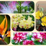 Dịch vụ điều chỉnh giấy chứng nhận đầu tư tại Nam Định 6 Muốn điều chỉnh giấy chứng nhận đầu tư tại Nam Định