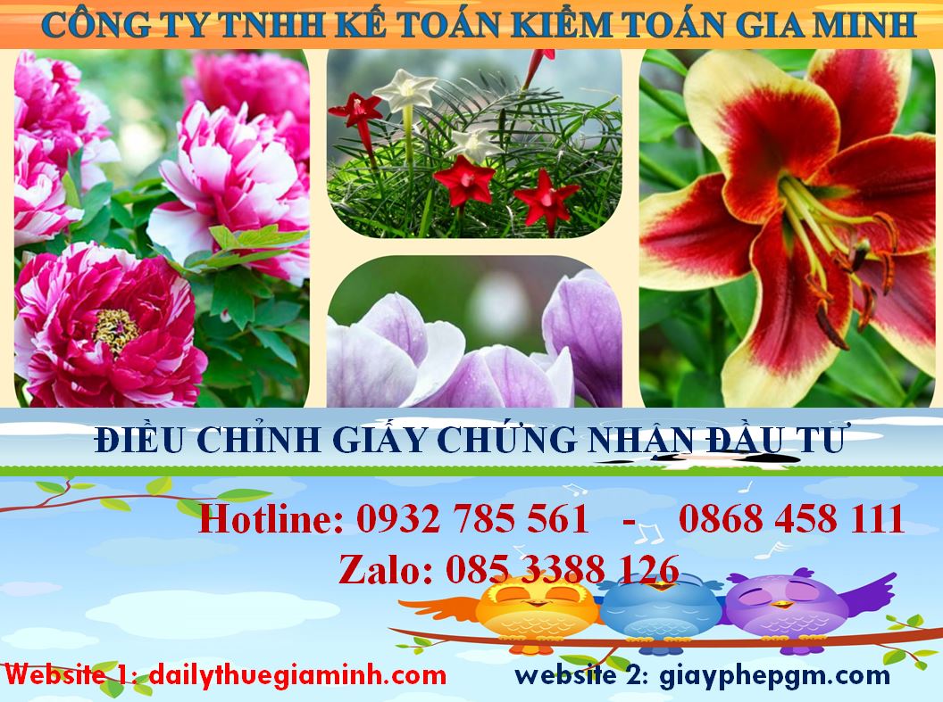 Dịch vụ điều chỉnh giấy chứng nhận đầu tư tại Nam Định 4 Thủ tục điều chỉnh giấy chứng nhận đầu tư tại Nam Định